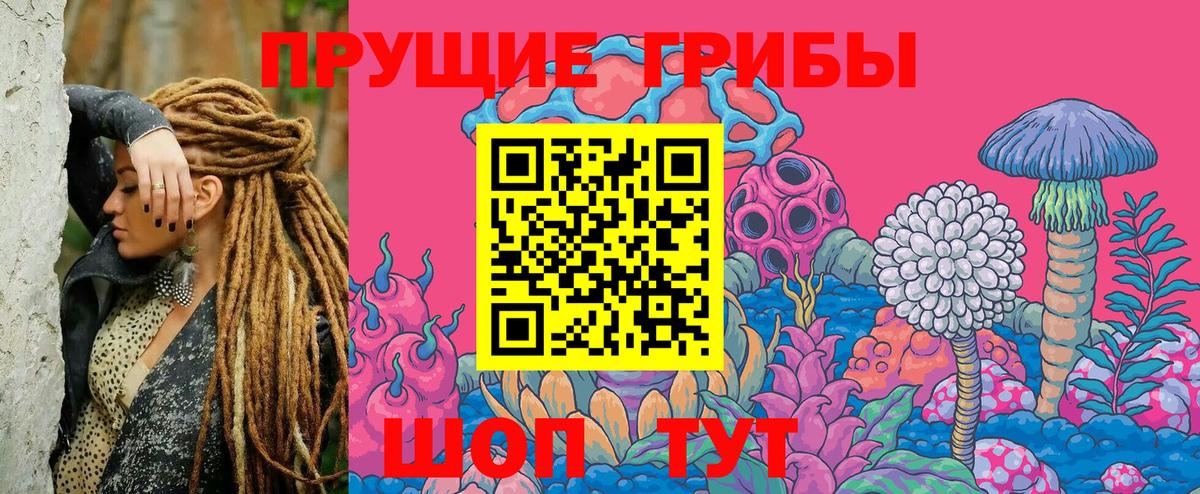 продажа наркотиков  Галлюциногенные грибы Psilocybe  Вход с VPN  Ачхой-Мартан 